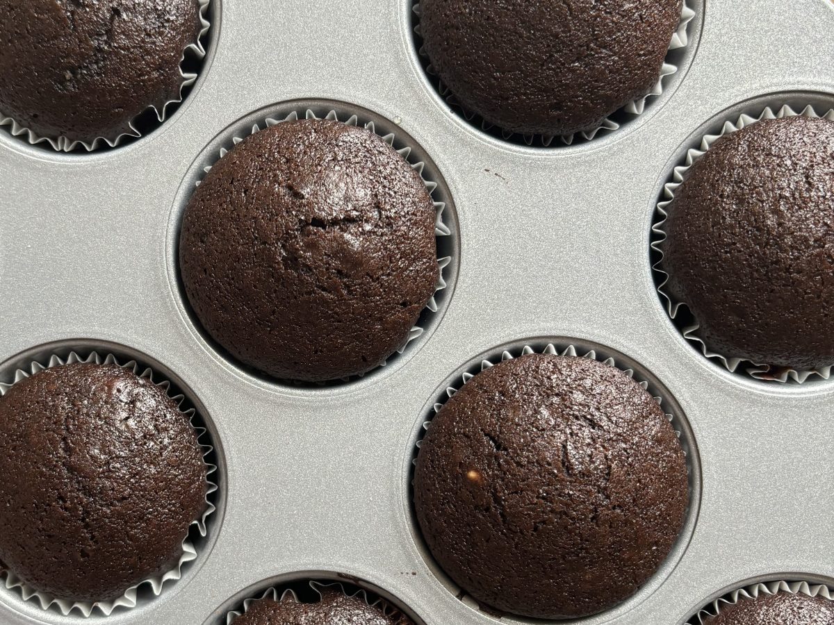 Chocolate Cupcakes