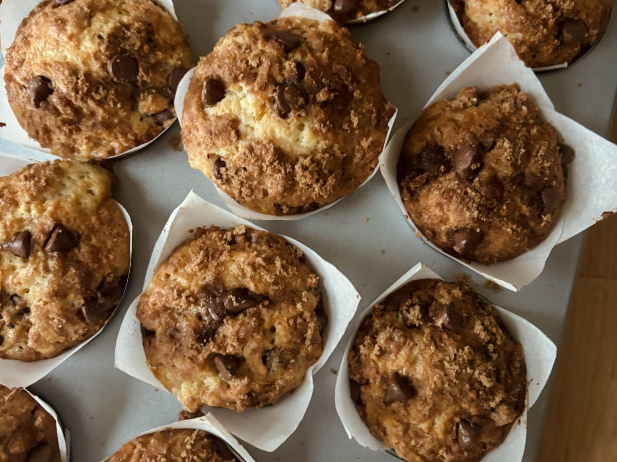 Chocolate Chip Muffins
